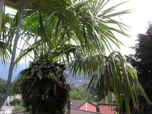 Hotel Villa Marita Lugano Zewnętrze zdjęcie